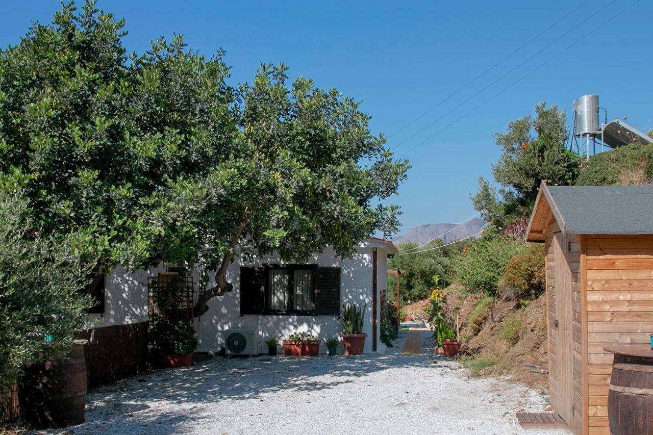 Summer Dream Cottage, 2Br, Beautiful Sea View Mochlos Exterior foto